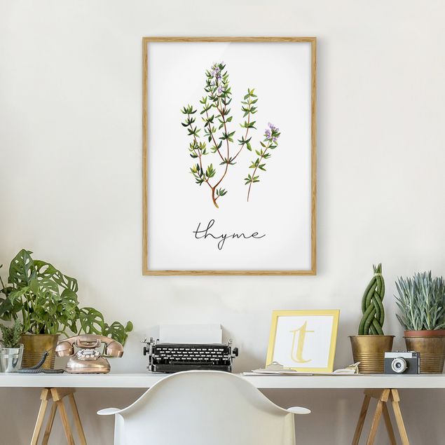 Cuadro de especias Herbs Illustration Thyme