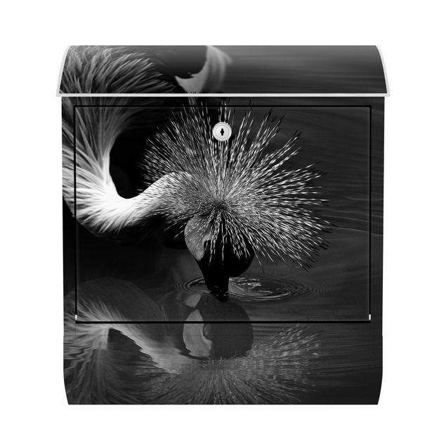 Buzones animales Crowned Crane Bow Black And White