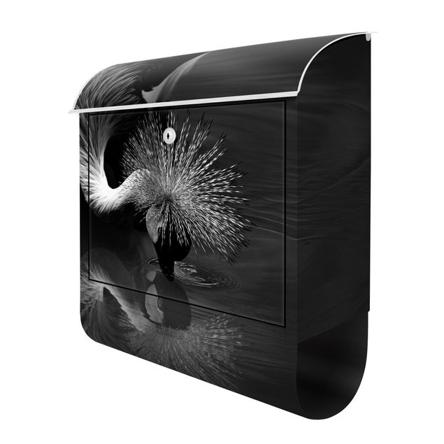 Buzón negro Crowned Crane Bow Black And White