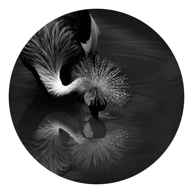 Papeles pintados blanco y negro Crowned Crane Bow Black And White