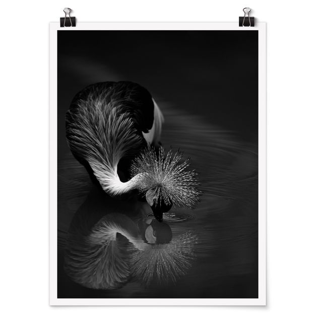 Cuadros modernos Crowned Crane Bow Black And White