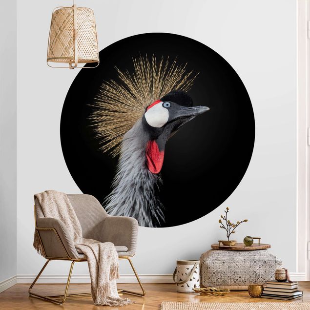 Papel pintado aves Crowned Crane In Front Of Black