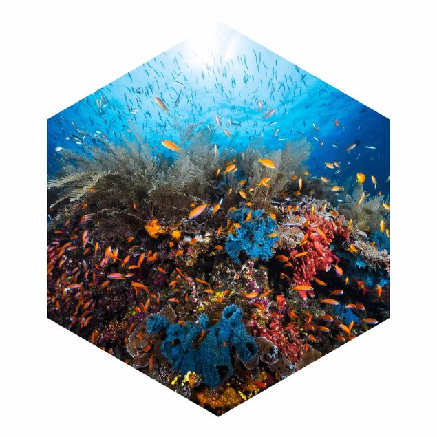 Papel pintado hexagonal Lagoon Underwater