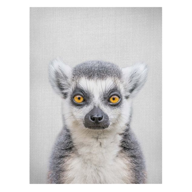 Lienzos animales Lemur Ludwig