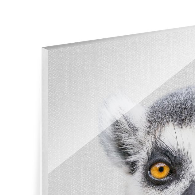 Cuadros de Gal Design Lemur Ludwig