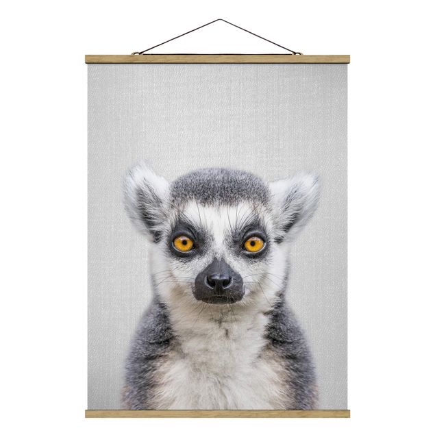Cuadros de animales Lemur Ludwig