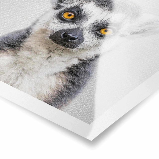 Cuadros modernos blanco y negro Lemur Ludwig