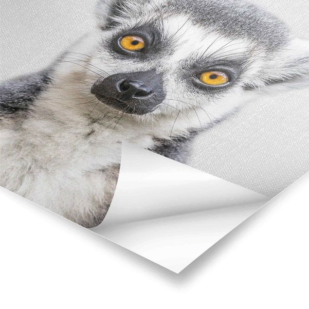 Cuadros de Gal Design Lemur Ludwig