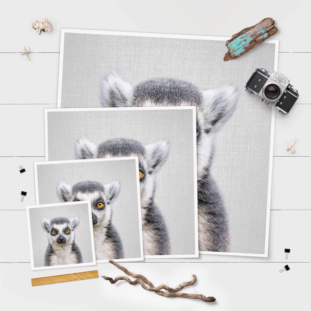 Cuadros modernos Lemur Ludwig