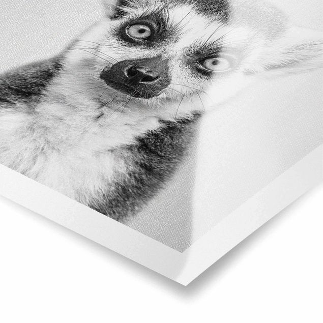 Cuadros en blanco y negro Lemur Ludwig Black And White