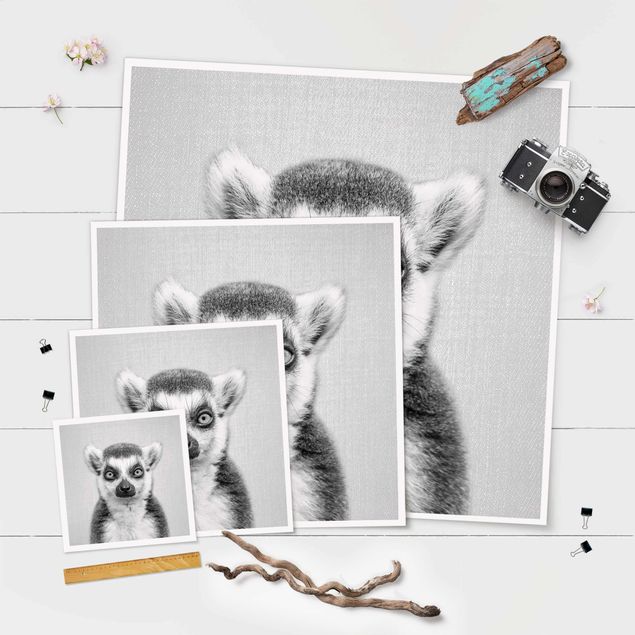 Cuadros decorativos Lemur Ludwig Black And White