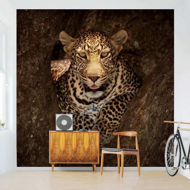 Papel pared animales Leopard Resting On A Tree