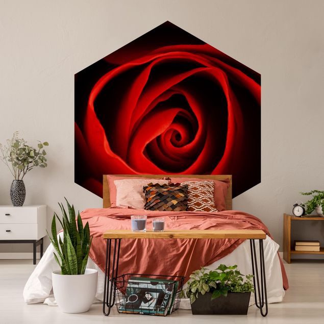 Papel pared flores Lovely Rose