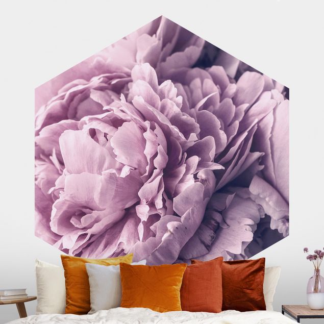 Papel pintado rosas Purple Peony Blossoms