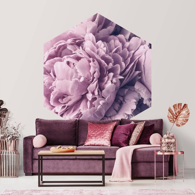 Papel pared flores Purple Peony Blossoms