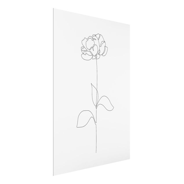 Cuadros modernos Line Art Flowers - Peony