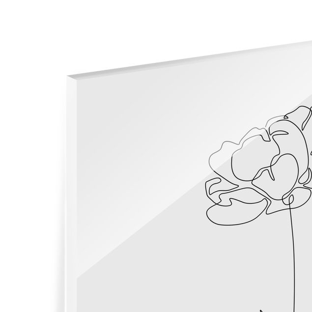 Tableros magnéticos de vidrio Line Art Flowers - Peony