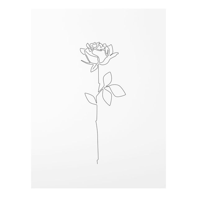 Cuadros modernos blanco y negro Line Art Flowers - Rose
