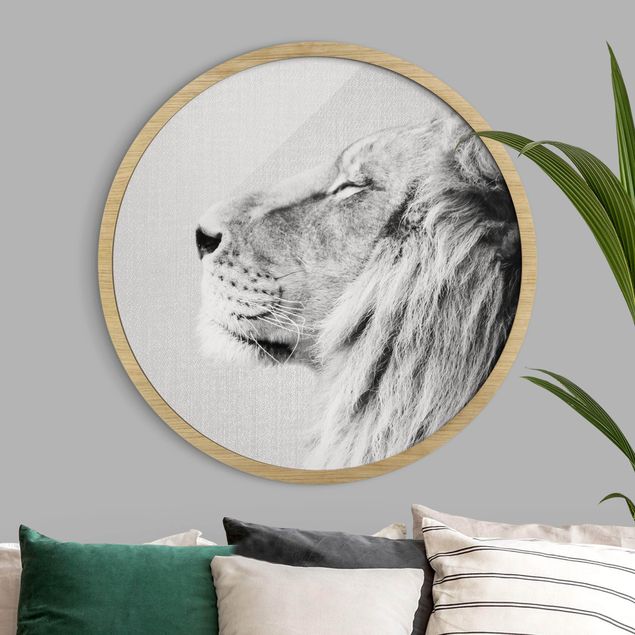 Cuadros leones Lion Leopold Black And White