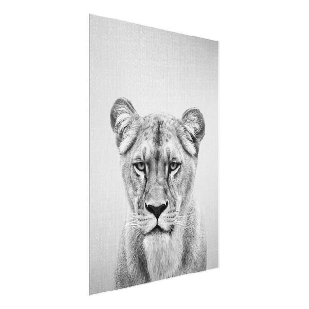 Cuadros de cristal animales Lioness Lisa Black And White