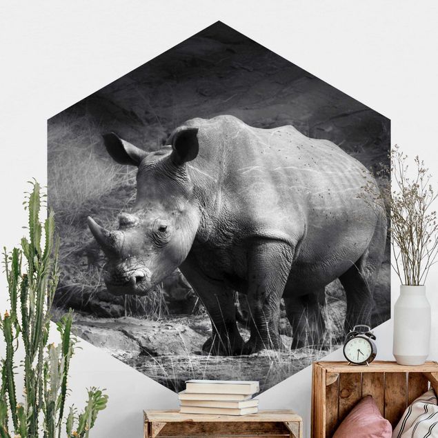 Decoración en la cocina Lonesome Rhinoceros