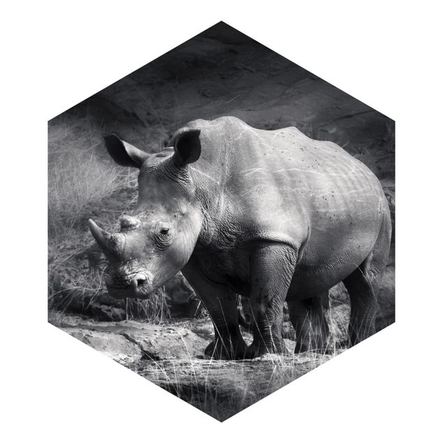 Papel de pared Lonesome Rhinoceros