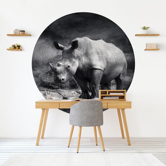 Decoración cocina Lonesome Rhinoceros