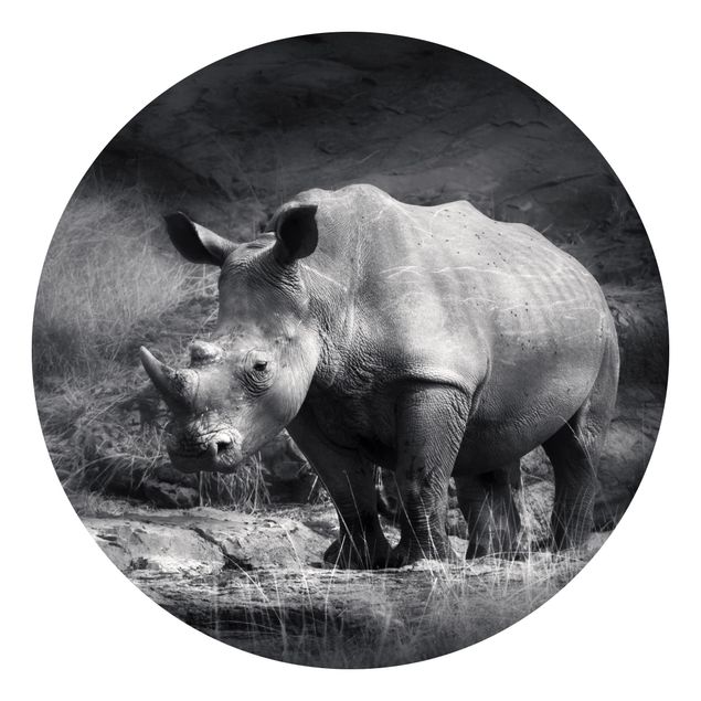 Papel pintado en blanco y negro Lonesome Rhinoceros