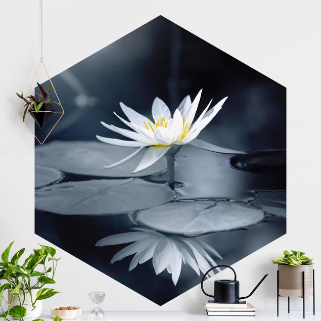 Decoración cocina Lotus Reflection In The Water