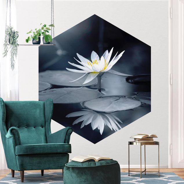 Papel pintado flores Lotus Reflection In The Water