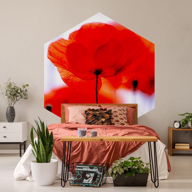 Papel pared flores Magic Poppies