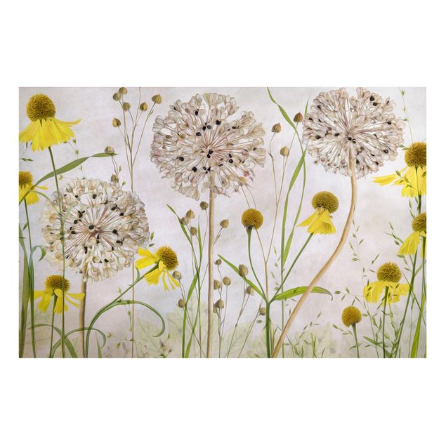 Tableros magnéticos flores Allium And Helenium Illustration