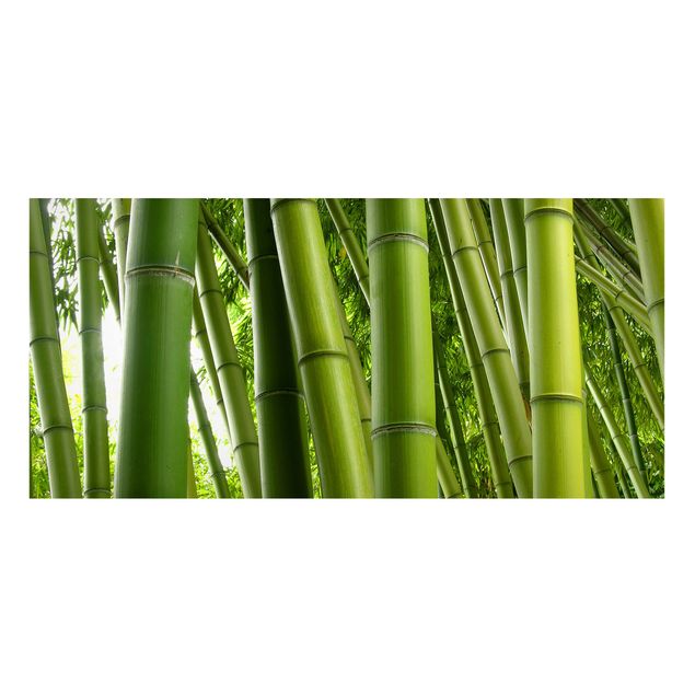 Cuadros de árboles Bamboo Trees