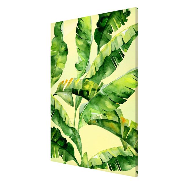 Cuadros plantas Banana Leaves Watercolour