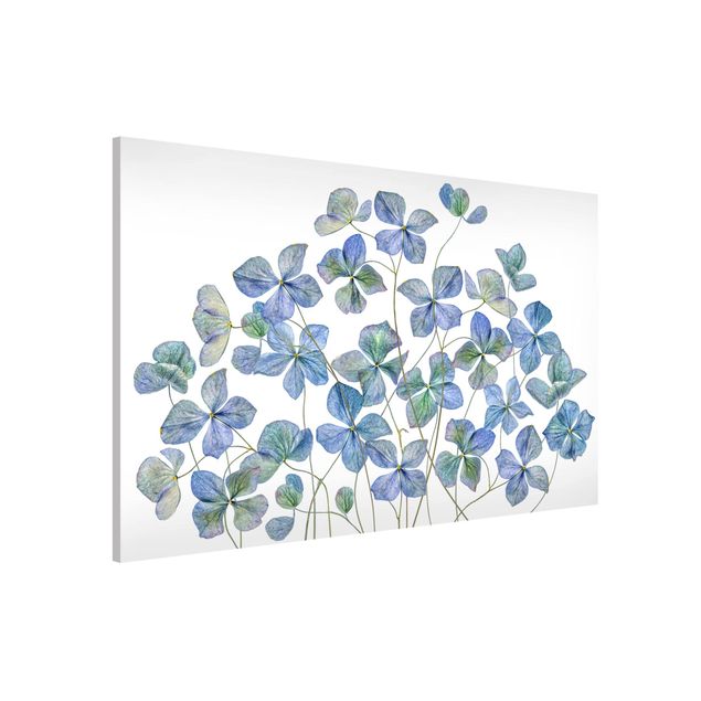 Decoración cocina Blue Hydrangea Flowers