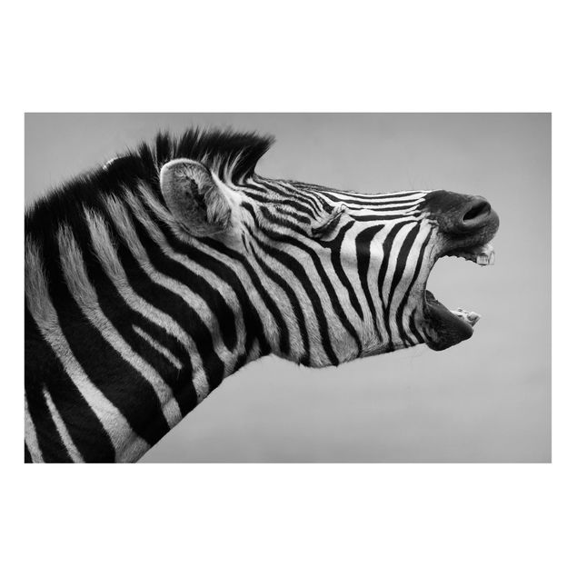 Cuadros cebras Roaring Zebra ll