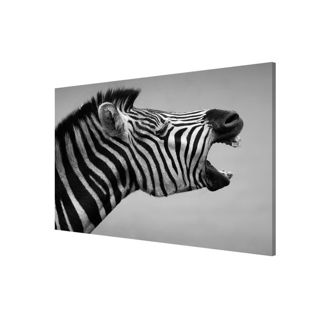 Tableros magnéticos animales Roaring Zebra ll