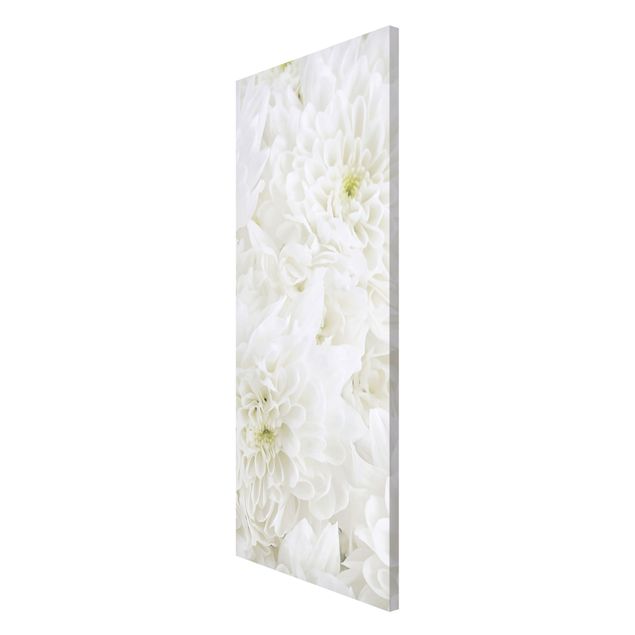 Cuadros de plantas Dahlias Sea Of Flowers White