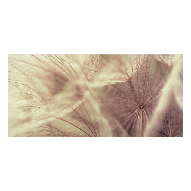 Tableros magnéticos flores Detailed Dandelion Macro Shot With Vintage Blur Effect