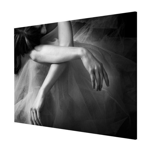 Cuadros de retratos The Hands Of A Ballerina