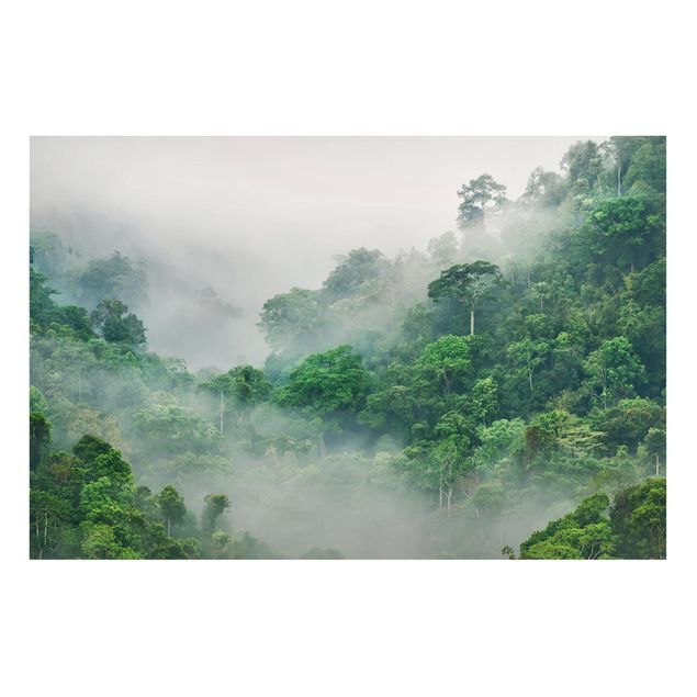 Cuadros de árboles para salón Jungle In The Fog