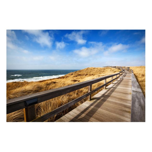Cuadro con paisajes Path between dunes at the North Sea on Sylt