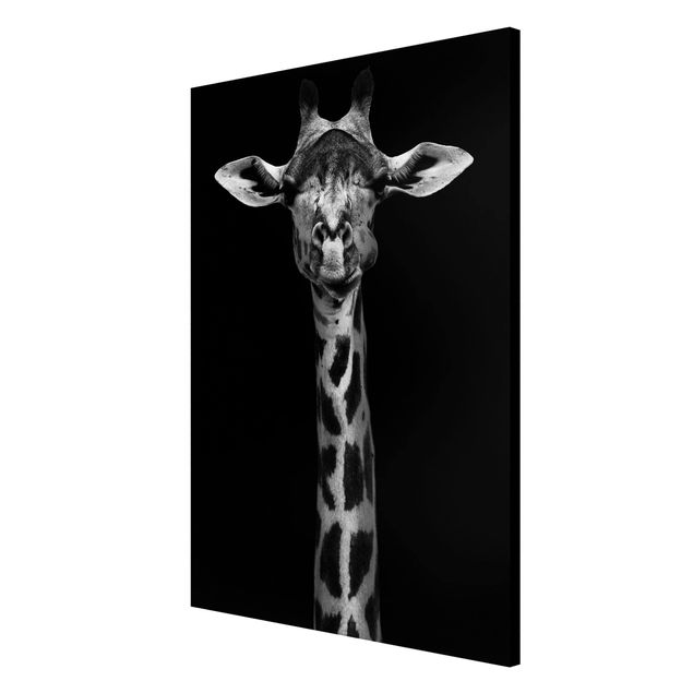 Tableros magnéticos animales Dark Giraffe Portrait