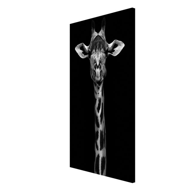 Tableros magnéticos animales Dark Giraffe Portrait