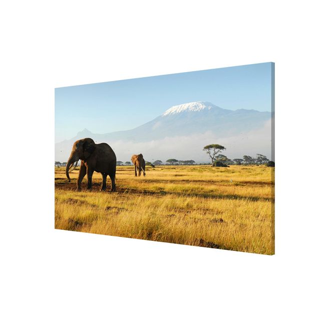 Cuadros paisajes Elephants In Front Of The Kilimanjaro In Kenya