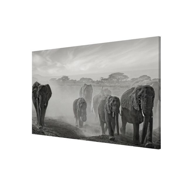 Cuadros paisajes Herd Of Elephants
