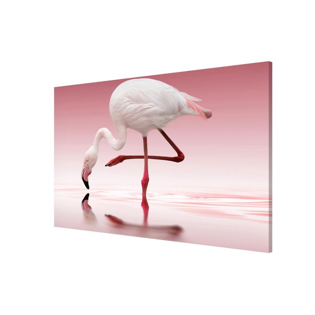 Cuadros con plumas Flamingo Dance