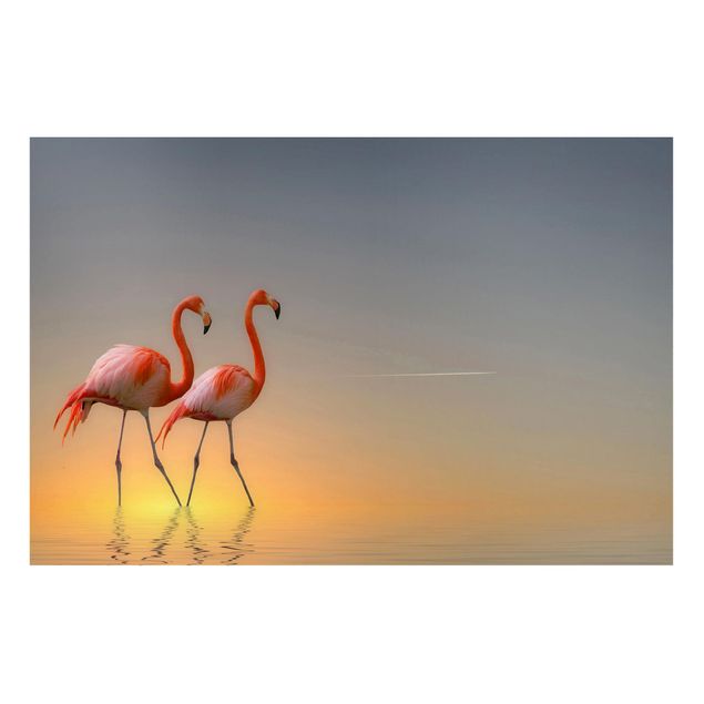 Tableros magnéticos animales Flamingo Love