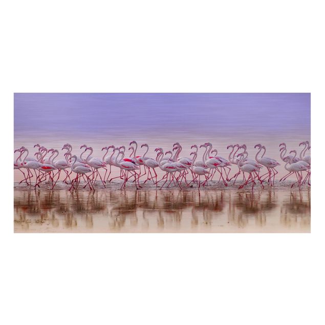 Tableros magnéticos animales Flamingo Party