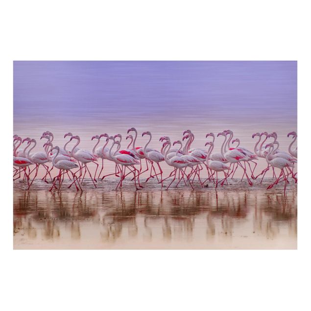 Tableros magnéticos animales Flamingo Party